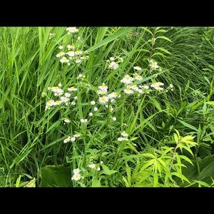 Meet your Posher, Maggie